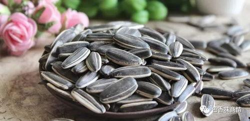 吃瓜吃鱼嗑瓜子,品味生活百态