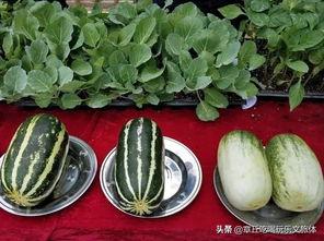 淘宝街8888吃瓜,揭秘网红吃瓜背后的秘密