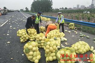 乌苏苏吃瓜群众,揭秘网络热议背后的真相