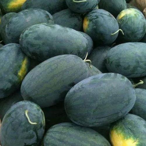 海伦市吃瓜,夏日吃瓜盛宴来袭