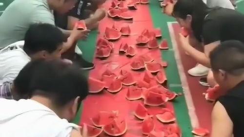 吃瓜的老爷,揭秘娱乐圈幕后故事