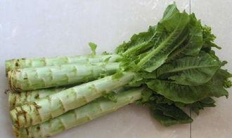 眼盲吃瓜,探寻味觉与心灵的奇妙之旅