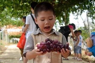 吃瓜群瓜瓜探长