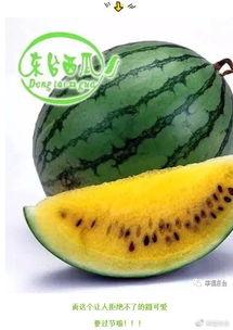 全球每日吃瓜,揭秘热点事件背后的真相与笑料