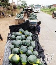 贵州兴义吃瓜事件,一场引发热议的街头冲突纪实