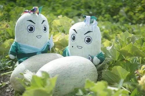 玩偶吃瓜群众,玩偶视角下的吃瓜群众众生相