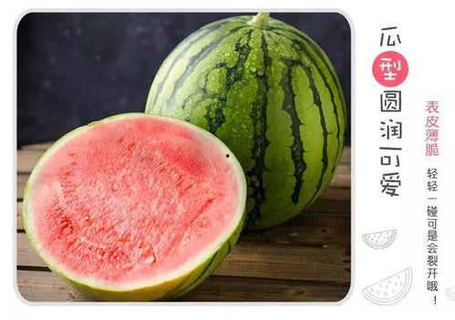 在圈里吃瓜,揭秘娱乐圈背后的故事与真相