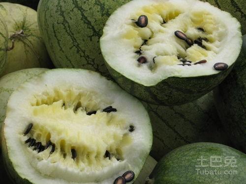 吃籽瓜歌曲,夏日里的甜蜜回忆与乡愁