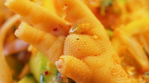 网红吃鸡瓜,吃鸡瓜大作战！