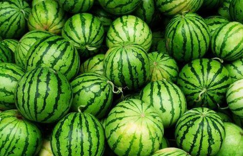 看到国民时代吃瓜