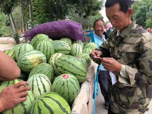 澄海吃瓜双陈,揭秘网络红人的甜蜜与争议