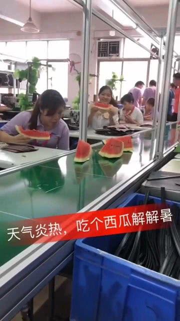 潍坊吃瓜瓷砖厂,匠心独运,打造时尚家居新潮流